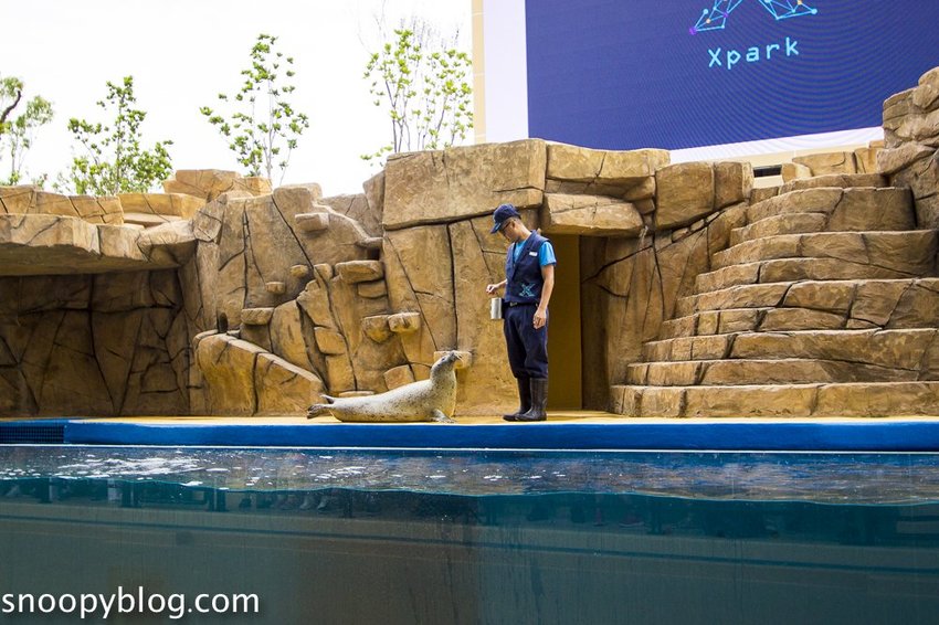 【桃園親子景點】Xpark水族館～現場購票、門票預購｜交通資訊，日本橫濱八景島水族館台來打造台灣首座新都會型水生公園、企鵝咖啡廳