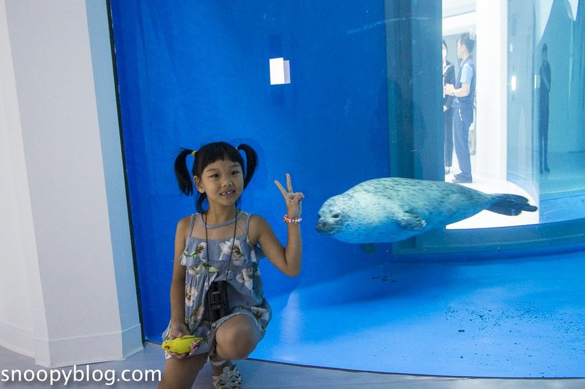 【桃園親子景點】Xpark水族館～現場購票、門票預購｜交通資訊，日本橫濱八景島水族館台來打造台灣首座新都會型水生公園、企鵝咖啡廳