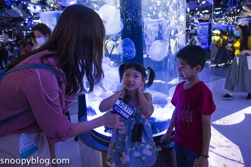 【桃園親子景點】Xpark水族館～現場購票、門票預購｜交通資訊，日本橫濱八景島水族館台來打造台灣首座新都會型水生公園、企鵝咖啡廳