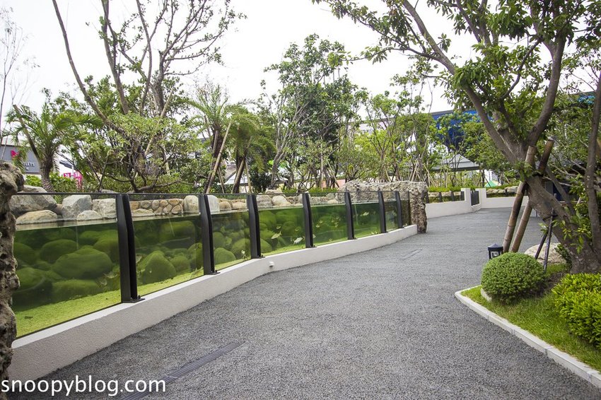 【桃園親子景點】Xpark水族館～現場購票、門票預購｜交通資訊，日本橫濱八景島水族館台來打造台灣首座新都會型水生公園、企鵝咖啡廳