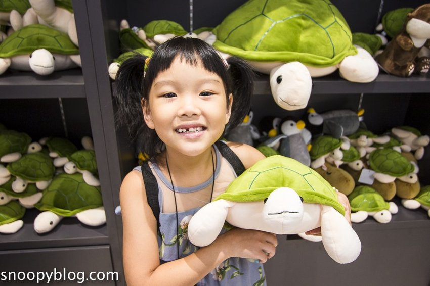 【桃園親子景點】Xpark水族館～現場購票、門票預購｜交通資訊，日本橫濱八景島水族館台來打造台灣首座新都會型水生公園、企鵝咖啡廳