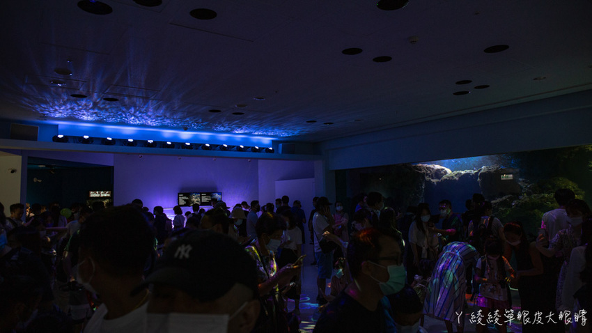 北台灣最大水族館推薦!桃園青埔Xpark水族館門票及交通資訊,必看可愛企鵝隧道、療癒水母