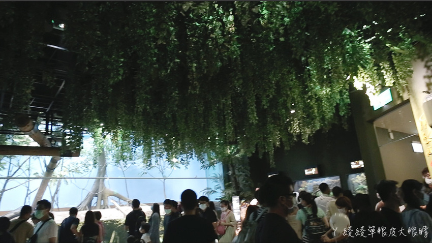 北台灣最大水族館推薦!桃園青埔Xpark水族館門票及交通資訊,必看可愛企鵝隧道、療癒水母