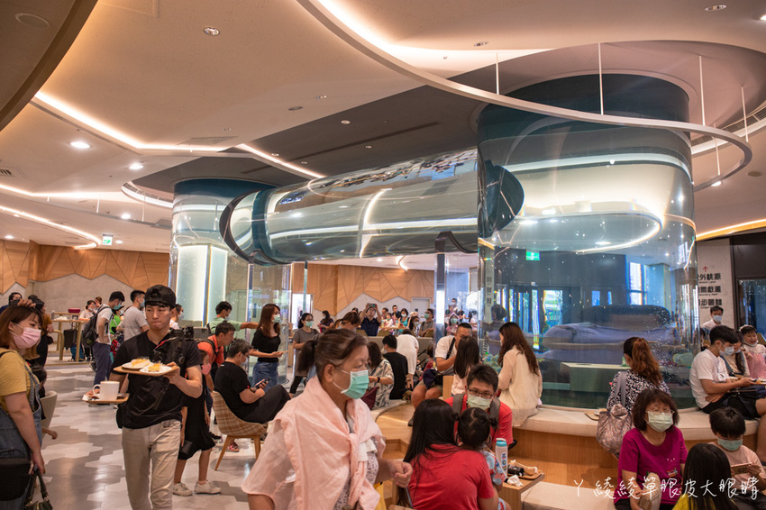 北台灣最大水族館推薦!桃園青埔Xpark水族館門票及交通資訊,必看可愛企鵝隧道、療癒水母