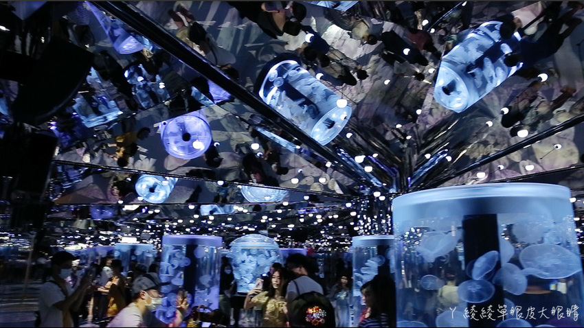 北台灣最大水族館推薦!桃園青埔Xpark水族館門票及交通資訊,必看可愛企鵝隧道、療癒水母