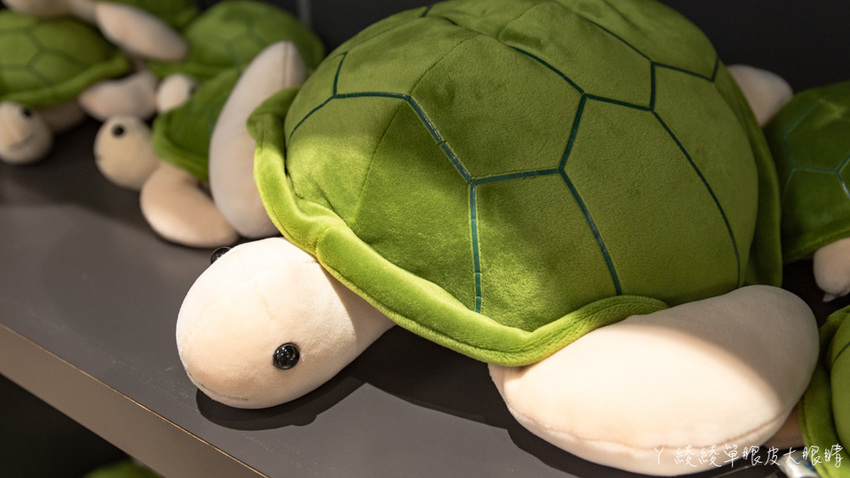 北台灣最大水族館推薦!桃園青埔Xpark水族館門票及交通資訊,必看可愛企鵝隧道、療癒水母