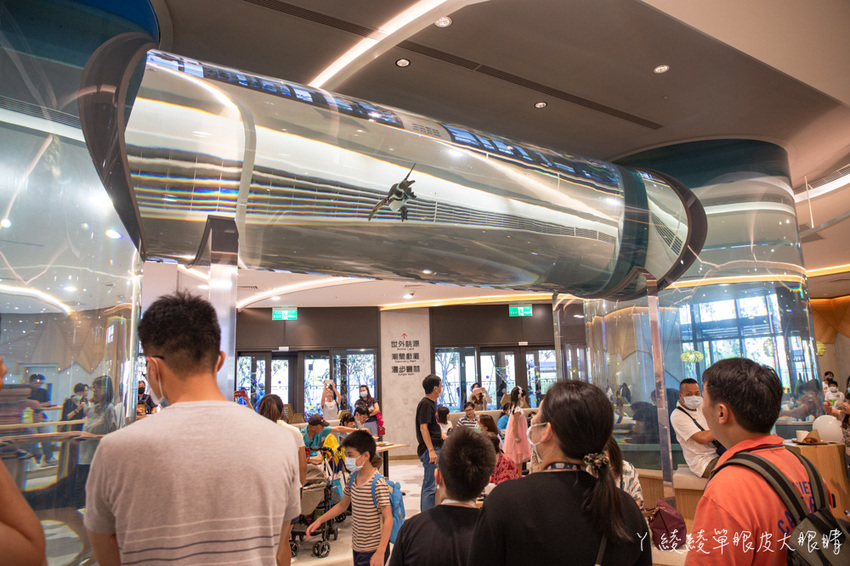 北台灣最大水族館推薦!桃園青埔Xpark水族館門票及交通資訊,必看可愛企鵝隧道、療癒水母