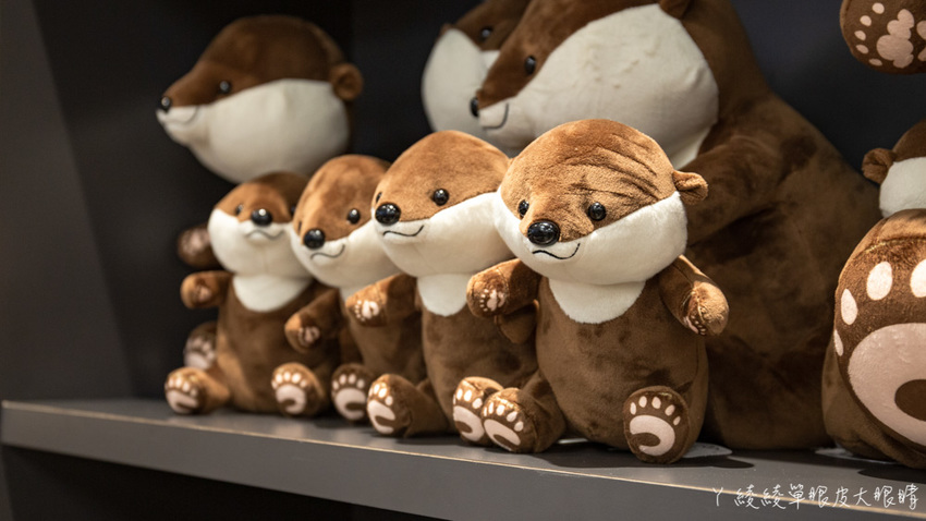 北台灣最大水族館推薦!桃園青埔Xpark水族館門票及交通資訊,必看可愛企鵝隧道、療癒水母