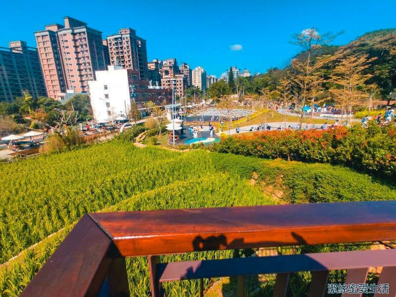 大有梯田生態公園 眺望梯田