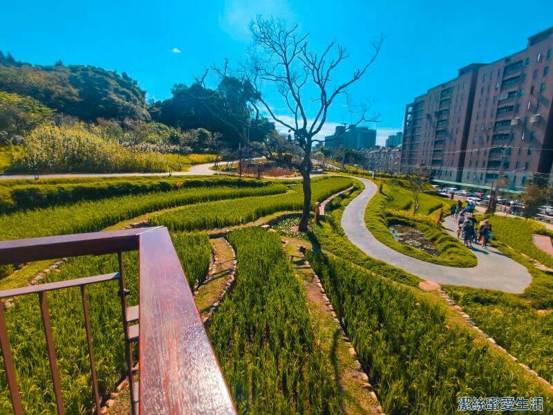 大有梯田生態公園 眺望梯田