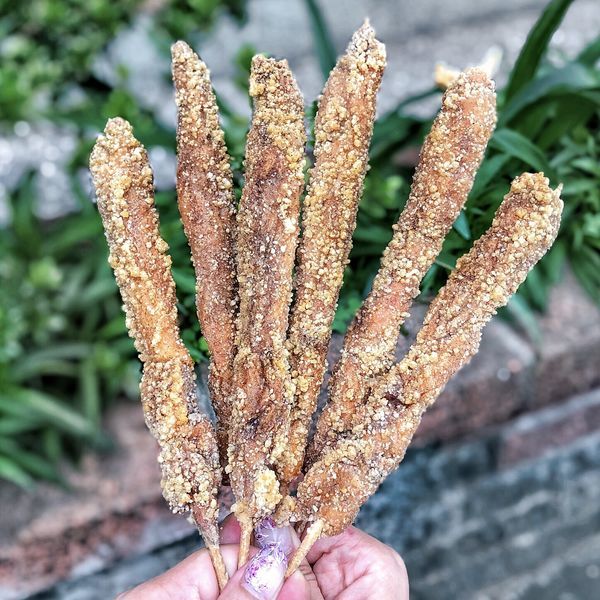 相片 2020-5-10 上午11 00 20