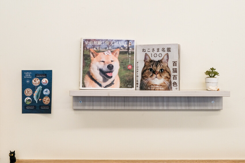 阿飛Brunch|植物系早午餐店,嚴選食材的溫馨寵物友善餐廳,近台中火車站