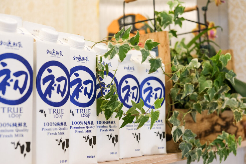 阿飛Brunch|植物系早午餐店,嚴選食材的溫馨寵物友善餐廳,近台中火車站