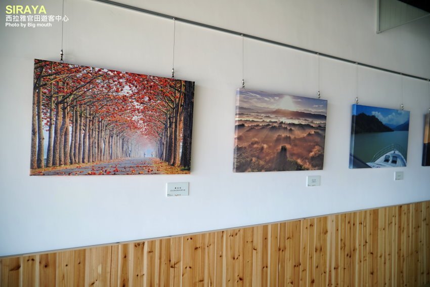 【台南景點】西拉雅官田遊客中心．綠建築+絕美大草原，好拍又好玩!