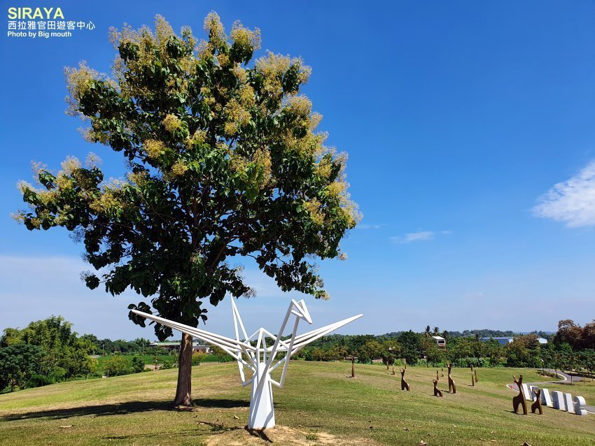 【台南景點】西拉雅官田遊客中心．綠建築+絕美大草原，好拍又好玩!