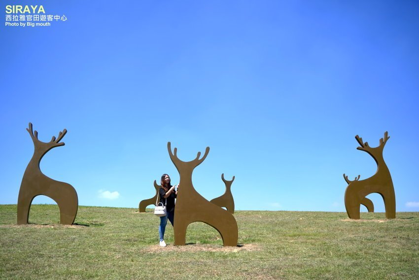 【台南景點】西拉雅官田遊客中心．綠建築+絕美大草原，好拍又好玩!