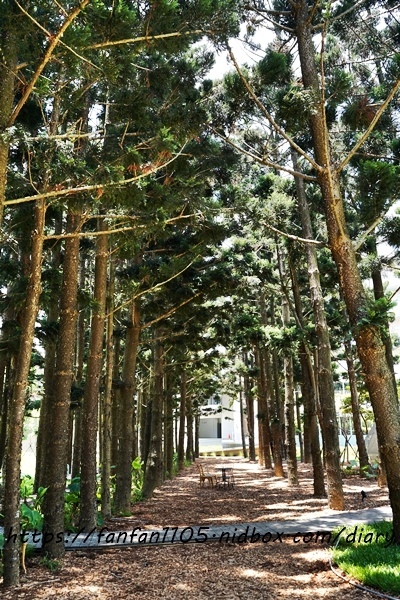 桃園龍潭【雄獅文具 想像力製造所】 #DIY手作 #創玩空間 #無拘束創意空間 #繽紛漸層色彩牆 #色彩漸層筆 #室內景點 #IG打卡景點  (5).JPG