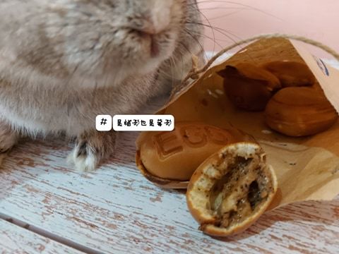 銅板美食!大人小孩都愛純手工雞蛋糕來了哦!餵我吃,純鮮奶!堅持不加一滴水!好吃又紮實的口感~連狗狗都可以吃哦!