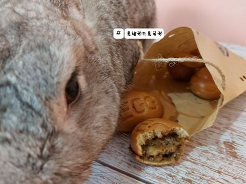 銅板美食!大人小孩都愛純手工雞蛋糕來了哦!餵我吃,純鮮奶!堅持不加一滴水!好吃又紮實的口感~連狗狗都可以吃哦!