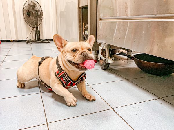 S__103161894.jpg S__103161894.jpg