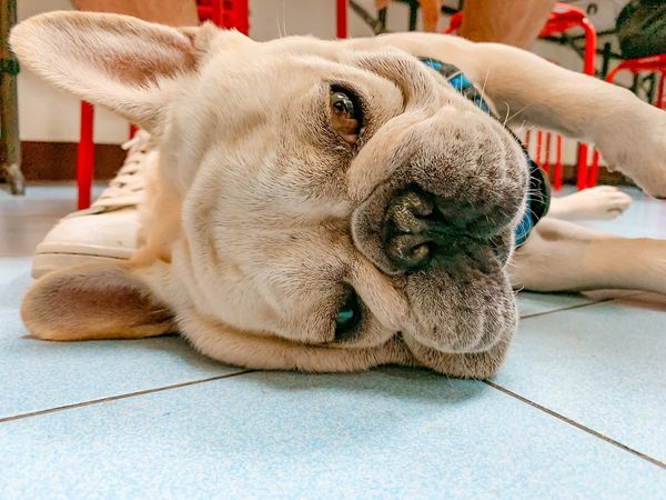 S__103161895.jpg S__103161895.jpg