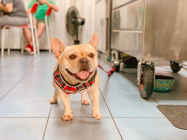 S__103161880.jpg S__103161880.jpg