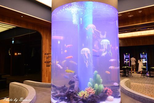 0808 2-和逸桃園17.jpg