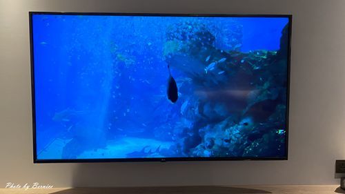 0808 2-和逸桃園26.jpg