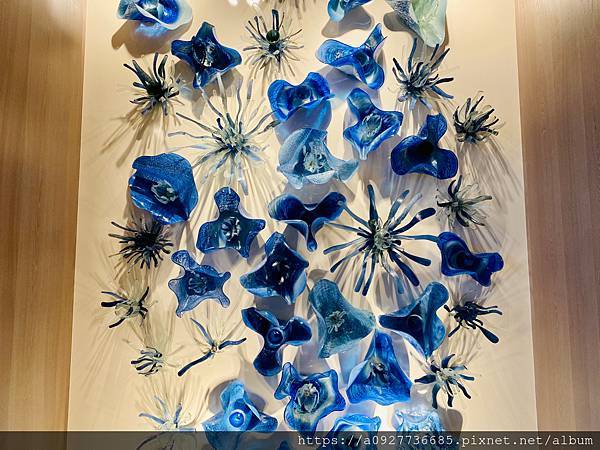 COZZI Blu 和逸飯店#桃園 #青埔 用海洋元素打造的飯店 /和逸飯店桃園館/桃園最熱門的飯店/利用假日帶小朋友來個微旅行吧