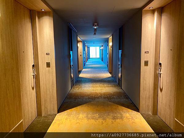 COZZI Blu 和逸飯店#桃園 #青埔 用海洋元素打造的飯店 /和逸飯店桃園館/桃園最熱門的飯店/利用假日帶小朋友來個微旅行吧