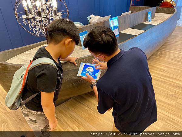 COZZI Blu 和逸飯店#桃園 #青埔 用海洋元素打造的飯店 /和逸飯店桃園館/桃園最熱門的飯店/利用假日帶小朋友來個微旅行吧