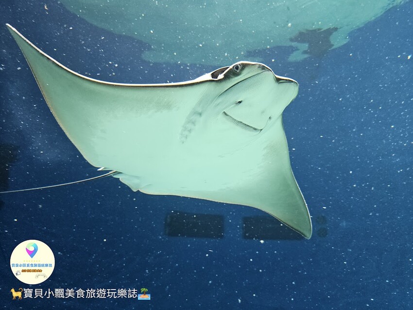 桃園住宿激推！和逸飯店，秒到Xpark、華泰名城！