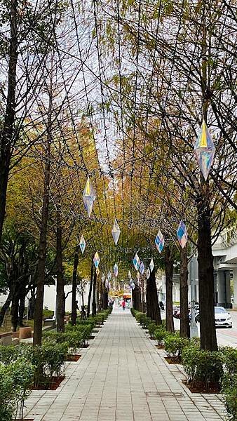 IMG_7154.jpg IMG_7154.jpg