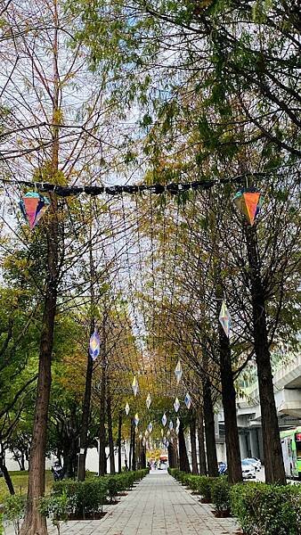 IMG_7143.jpg IMG_7143.jpg