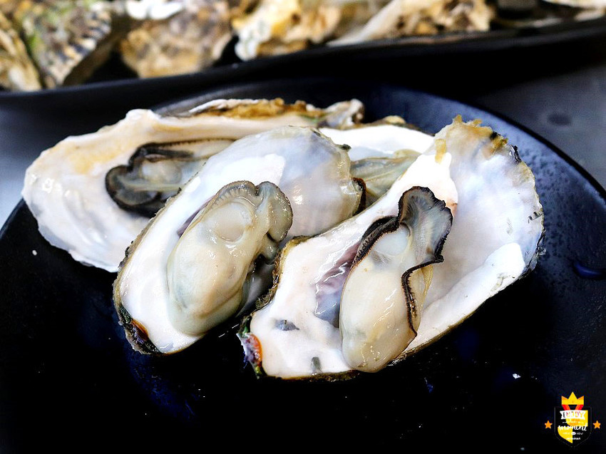 台南燒烤店／鮮蚵199元吃到飽／吃到痛風也甘願／東石漁港每日新鮮直送／不限用餐時間／連下雨天都大爆滿／可帶飯麵類外食