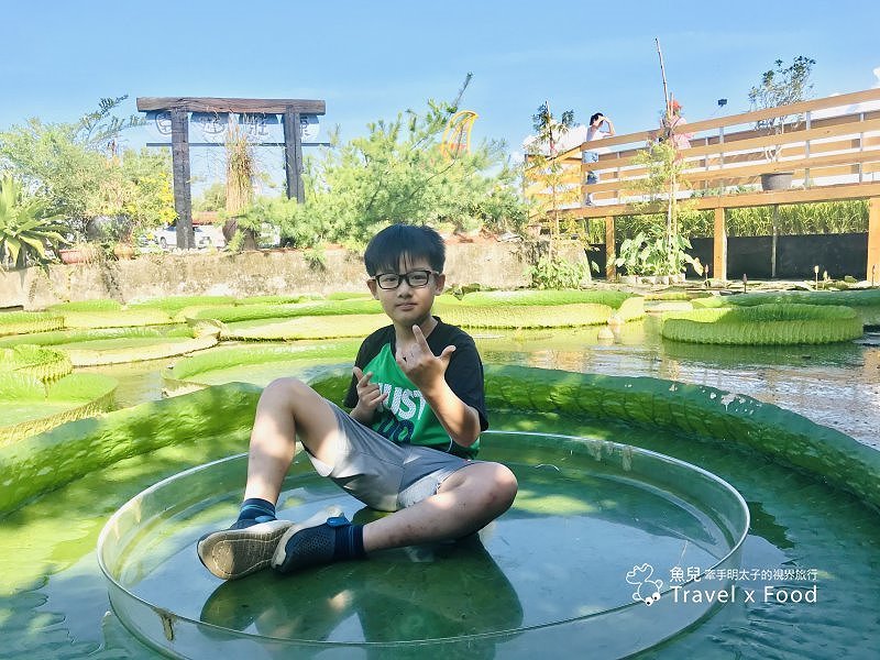 2020 桃園蓮花季，「金湖岸+康莊蓮園」之雙農場一日遊 @魚兒 x 牽手明太子的「視」界旅行