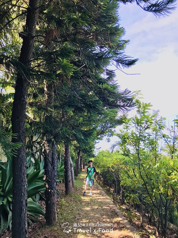 2020 桃園蓮花季，「金湖岸+康莊蓮園」之雙農場一日遊 @魚兒 x 牽手明太子的「視」界旅行