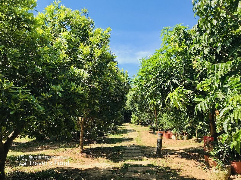 2020 桃園蓮花季，「金湖岸+康莊蓮園」之雙農場一日遊 @魚兒 x 牽手明太子的「視」界旅行