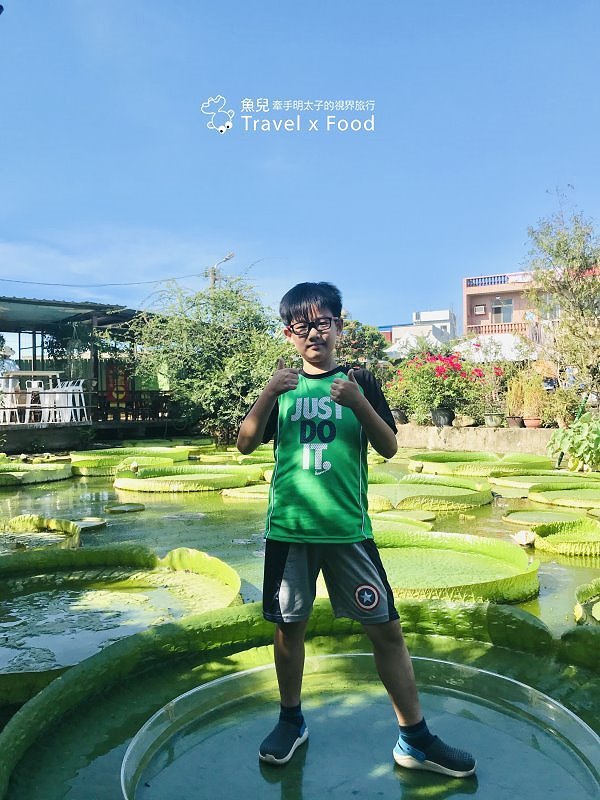 2020 桃園蓮花季，「金湖岸+康莊蓮園」之雙農場一日遊 @魚兒 x 牽手明太子的「視」界旅行