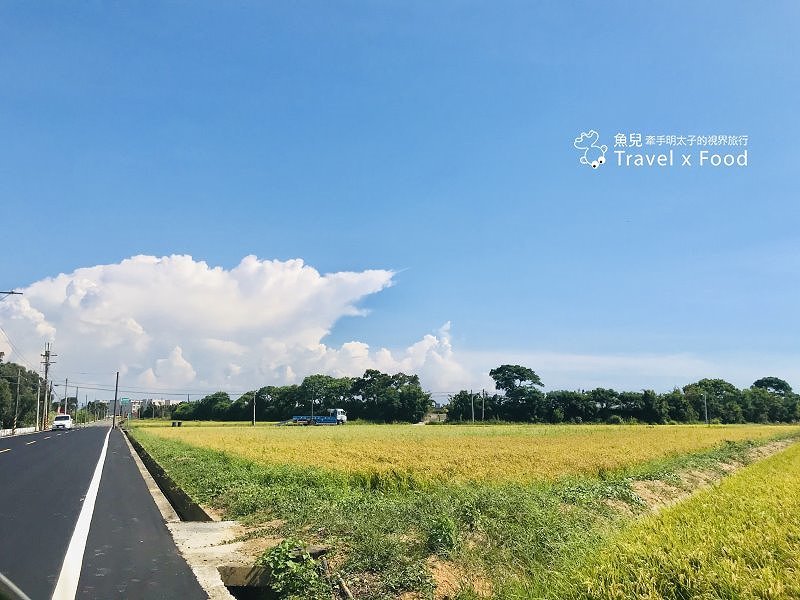 2020 桃園蓮花季，「金湖岸+康莊蓮園」之雙農場一日遊 @魚兒 x 牽手明太子的「視」界旅行