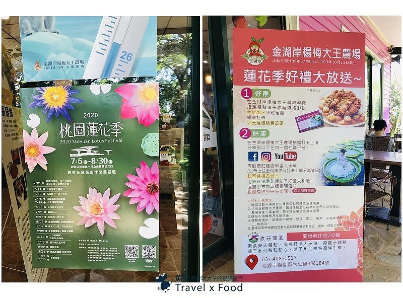 2020 桃園蓮花季，「金湖岸+康莊蓮園」之雙農場一日遊 @魚兒 x 牽手明太子的「視」界旅行