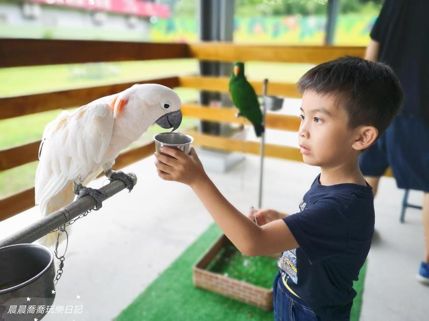 宜蘭親子景點心花鹿Fun