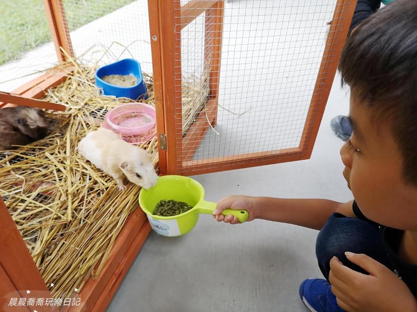 宜蘭親子景點心花鹿Fun