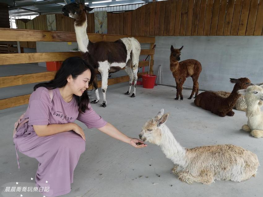 宜蘭親子景點心花鹿Fun