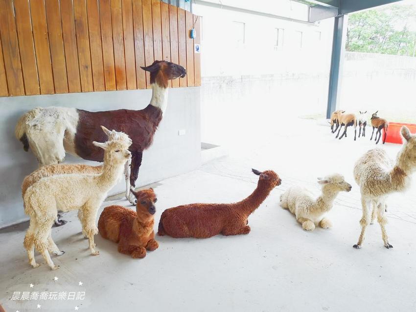 宜蘭親子景點心花鹿Fun