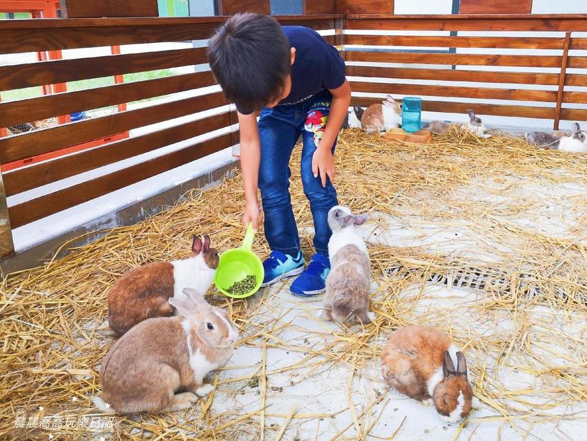 宜蘭親子景點心花鹿Fun