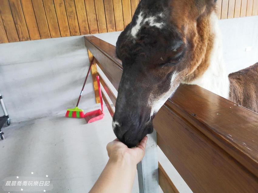 宜蘭親子景點心花鹿Fun