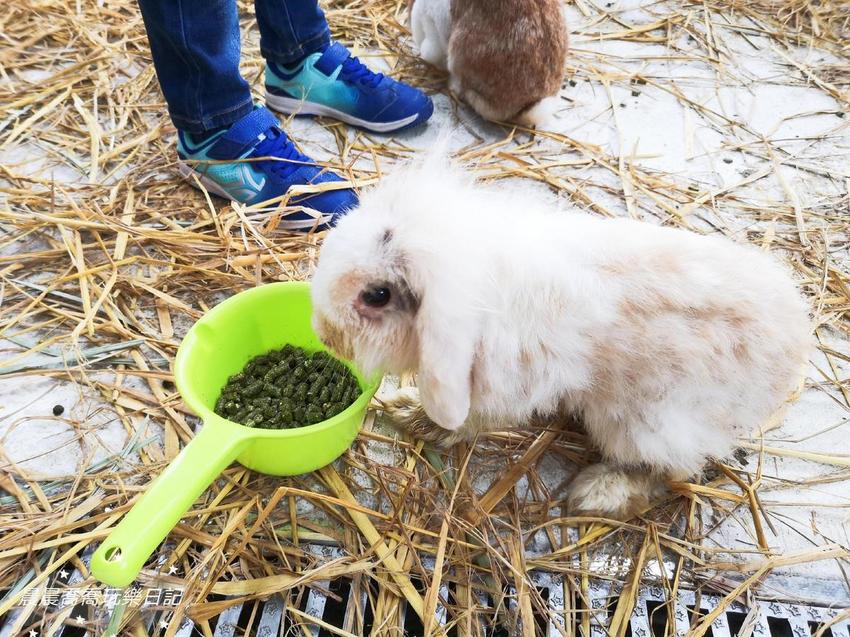 宜蘭親子景點心花鹿Fun