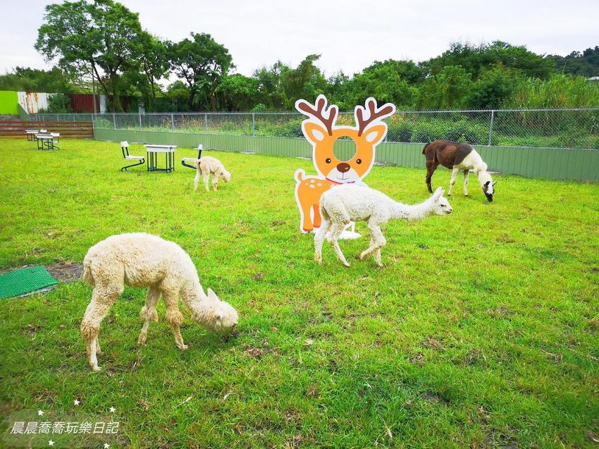 宜蘭親子景點心花鹿Fun