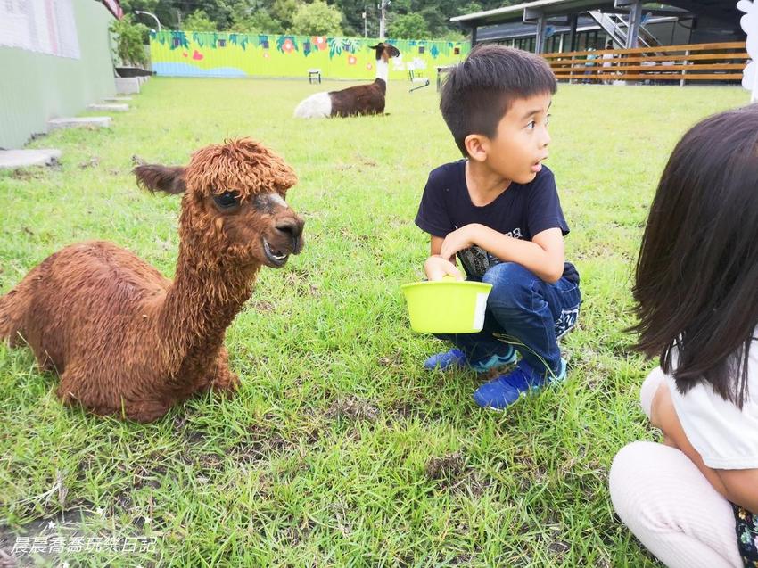 宜蘭親子景點心花鹿Fun